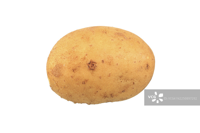 土豆，阿格里亚品种图片素材