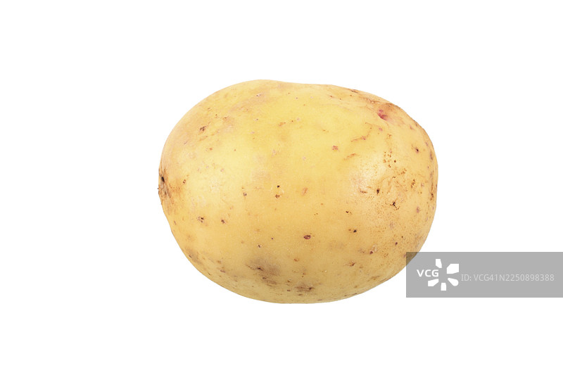 土豆，四季度品种图片素材