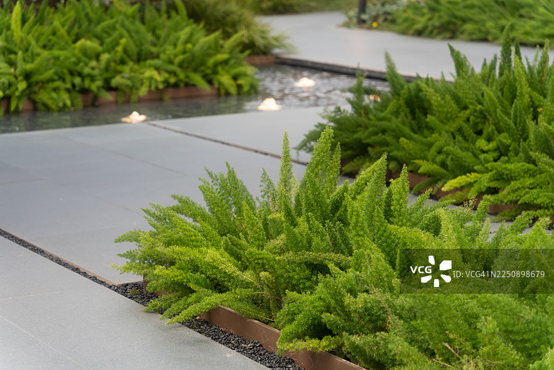 高档住宅区人行道两侧的绿色植物图片素材