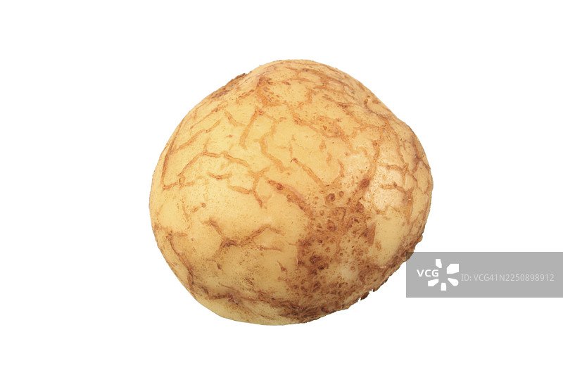 土豆，拉巴罗特品种图片素材