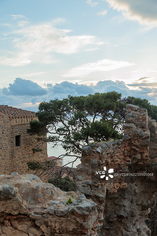 希腊伯罗奔尼撒拉科尼亚莫奈姆瓦西亚传统老石屋后院，美丽的巨型地中海松树和仙人掌图片素材