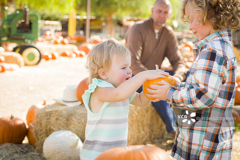 可爱的一家三口在南瓜地里享受一天的乐趣图片素材