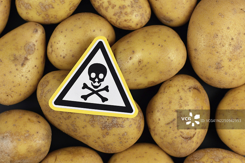 概念图：食物中的不健康或有毒物质，如龙葵素或农药残留，带有骷髅警告标志，背景为黑色的生土豆图片素材
