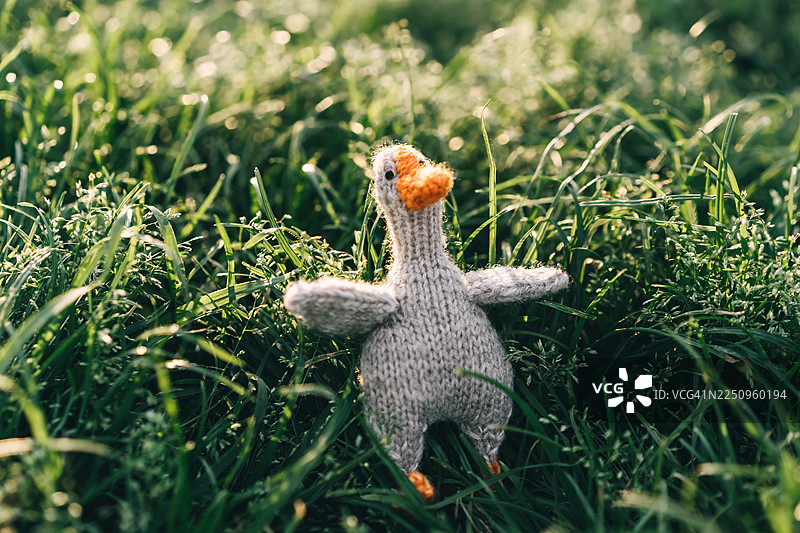 草地上一只可爱的针织鹅玩具。图片素材