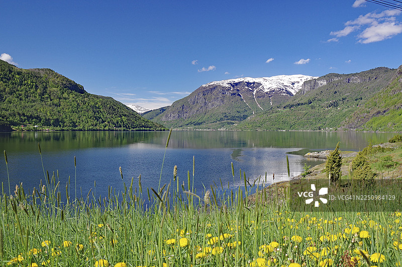 春季风景，草甸和峡湾，松恩峡湾，松恩达尔，莫尔韦根图片素材