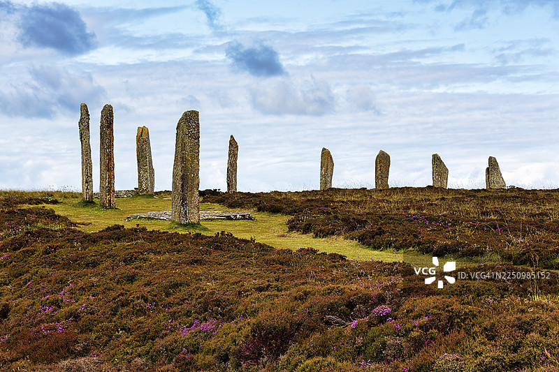 苏格兰奥克尼群岛梅恩兰岛的尼奥石器时代石圈（布罗德加石圈）位于有草和石楠花的草地上图片素材