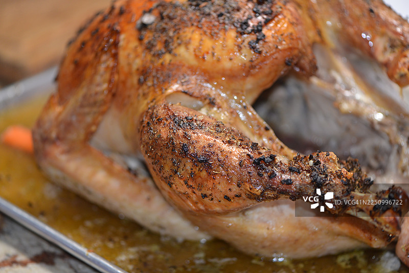 感恩节火鸡图片素材