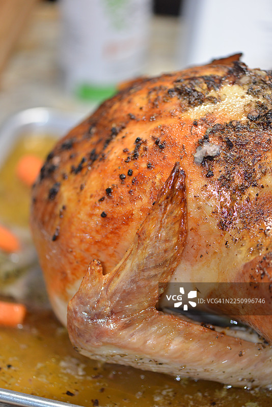 感恩节火鸡图片素材