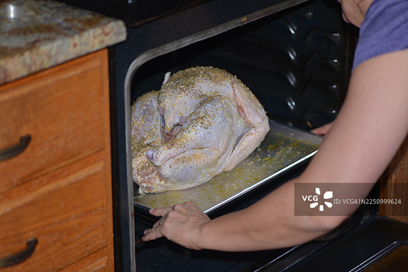 感恩节火鸡图片素材