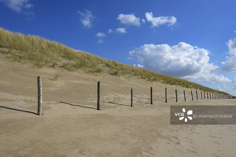 荷兰南荷兰省诺德韦克阿恩泽的沙丘与海滩草，北海图片素材