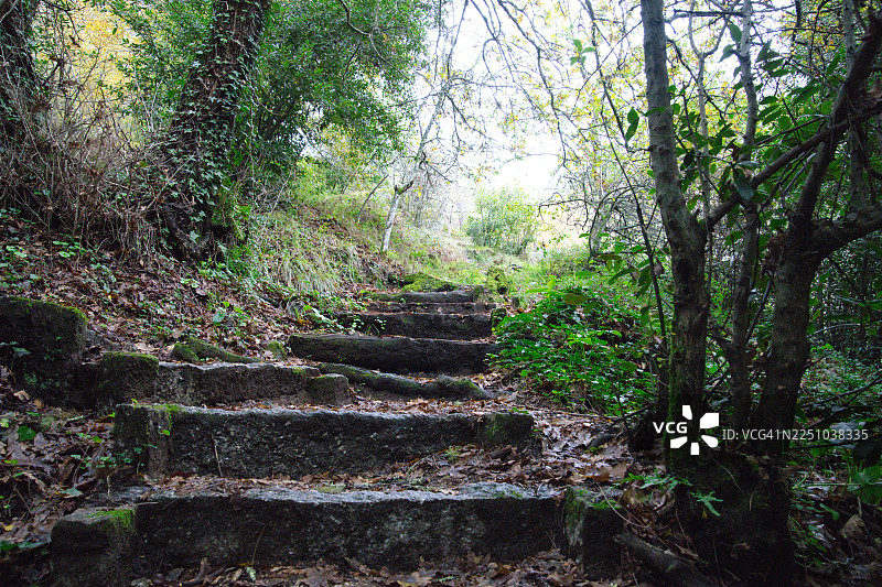 巴罗萨自然公园河流上的瀑布和水磨坊（西班牙，蓬特韦德拉，巴罗）图片素材