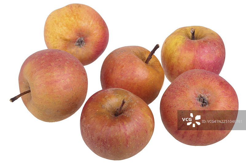 斯劳瓦尔德梨形苹果图片素材