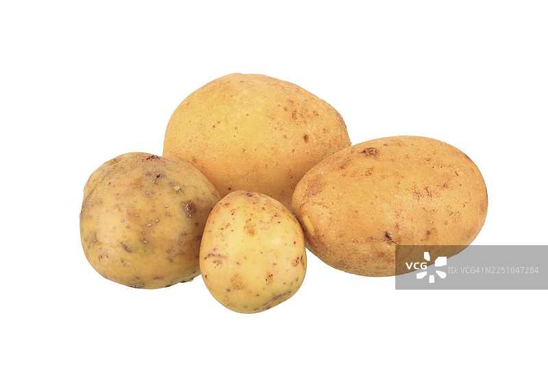 阿格里亚品种的土豆图片素材