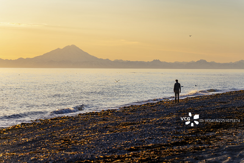 日落时分，年轻男子沿着海滩漫步，越过库克湾望向阿留申山脉的红山（Mount Redoubt）的白色山峰，位于阿拉斯加州安克雷奇角（Anchor Point）的安克雷奇河州立休闲区（Anchor River State Recreation Area）。图片素材