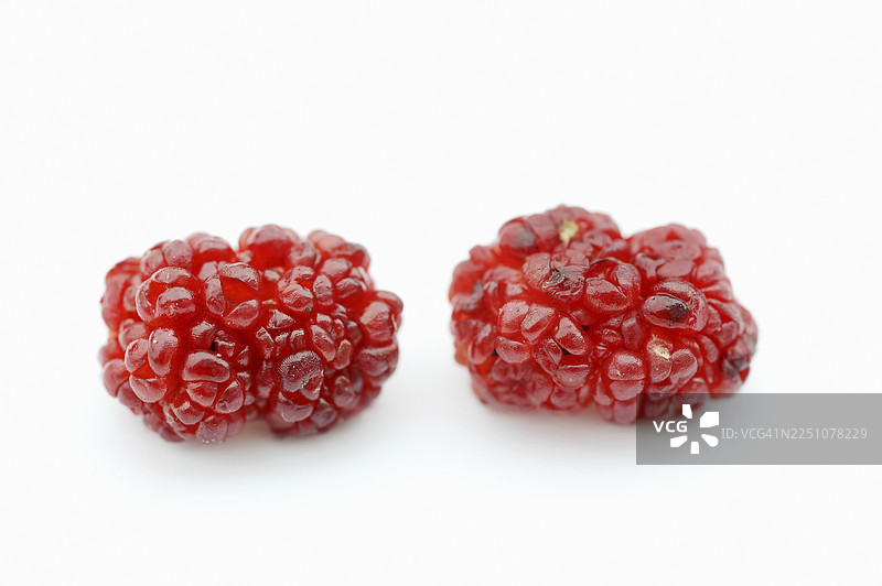 草莓菠菜（藜科植物，又称直立唐莴苣），白底上的果实，一种蔬菜兼观赏植物图片素材