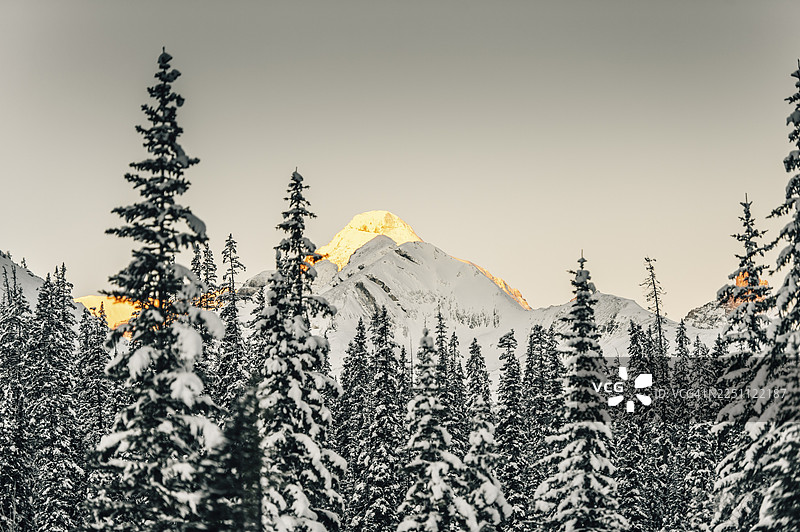 冬季冰原大道自驾游,加拿大艾伯塔省班夫国家公园和贾斯珀国家公园,白雪皑皑,冰天雪地图片素材