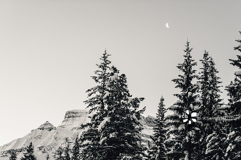 加拿大艾伯塔省，班夫国家公园，贾斯珀国家公园，冰原大道冬季雪地和冰雪路面公路旅行图片素材