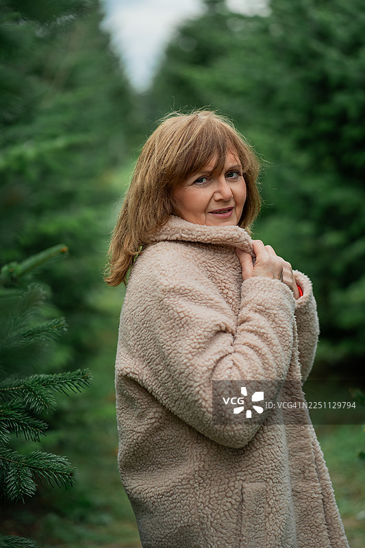 一位 55 岁的女性在户外市场挑选圣诞树。冬季假期。图片素材