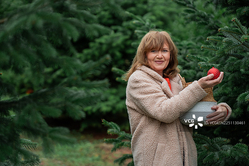 一位55岁的女性在户外市场挑选圣诞树，冬季假日。图片素材