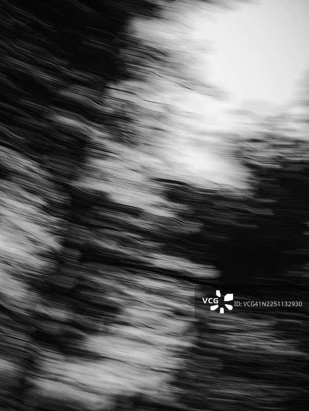 强烈的横向意图相机运动拍摄的黑白抽象森林树冠。模糊的树枝和树叶在画面中形成扫过的深浅条纹，与右上角的明亮天空形成鲜明对比。图片素材