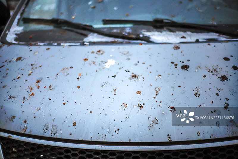 生物障碍——机械化世界中的有机干扰图片素材