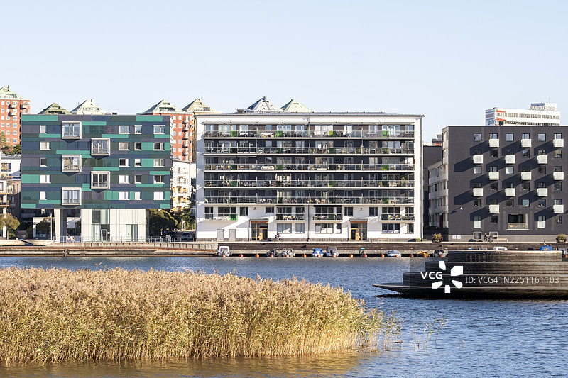 哈马比湖畔生态区的滨水景观，融合了现代建筑与天然芦苇丛，彰显了斯德哥尔摩的可持续城市形象图片素材