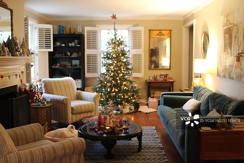 舒适休闲的客厅，用复古风格的装饰品和圣诞装饰品点缀，猫咪享受着圣诞的氛围。图片素材