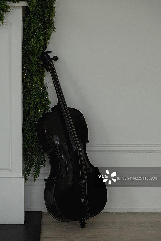 一把黑色的中提琴靠在一面洁白干净的墙壁和墙裙上，一条缠绕着闪烁灯光的绿色花环装饰其间。图片素材