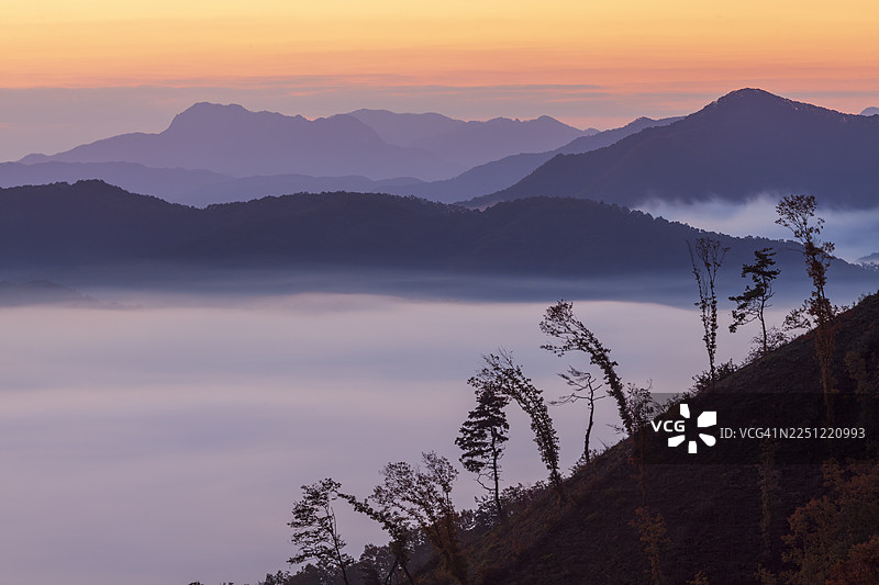 忠清北道 槐山郡 靑川面 花陽里 秃影山 日出 黎明 雲海 山 松樹图片素材