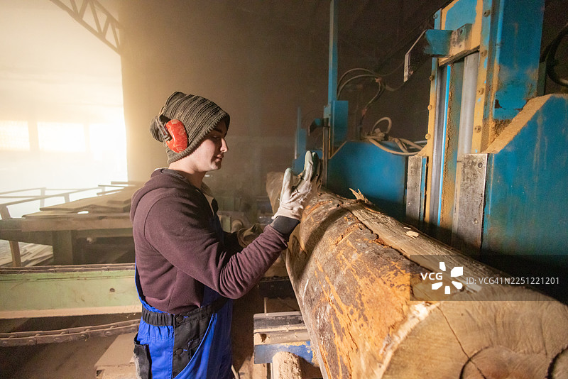 车间树木加工图片素材