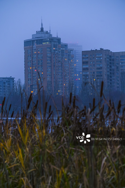 蓝色时分下的芦苇和公寓楼图片素材