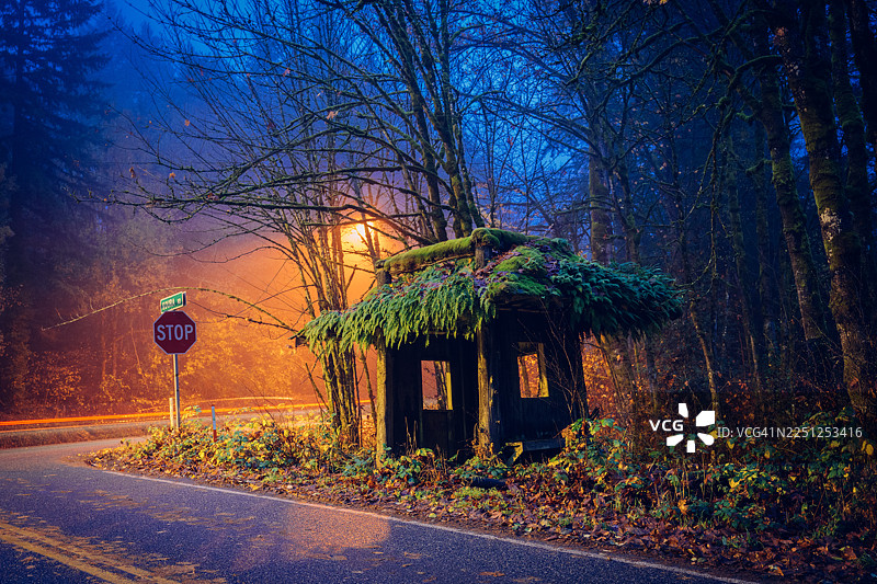 傍晚时分，森林中布满苔藓的木屋，旁边是一条蜿蜒的、有发光路灯的道路。地点：美国华盛顿州贝恩布里奇岛。图片素材