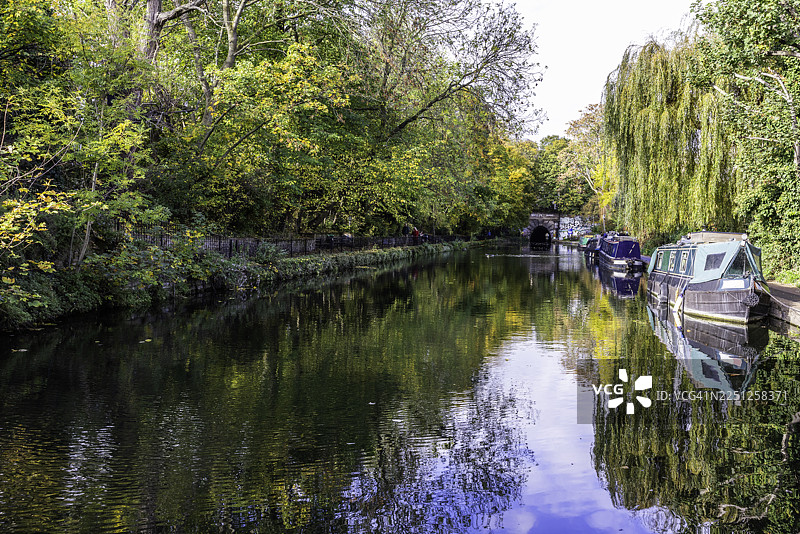 英国伊斯灵顿宁静运河的风景，两旁是郁郁葱葱的绿树和停泊的船只，天空晴朗。图片素材