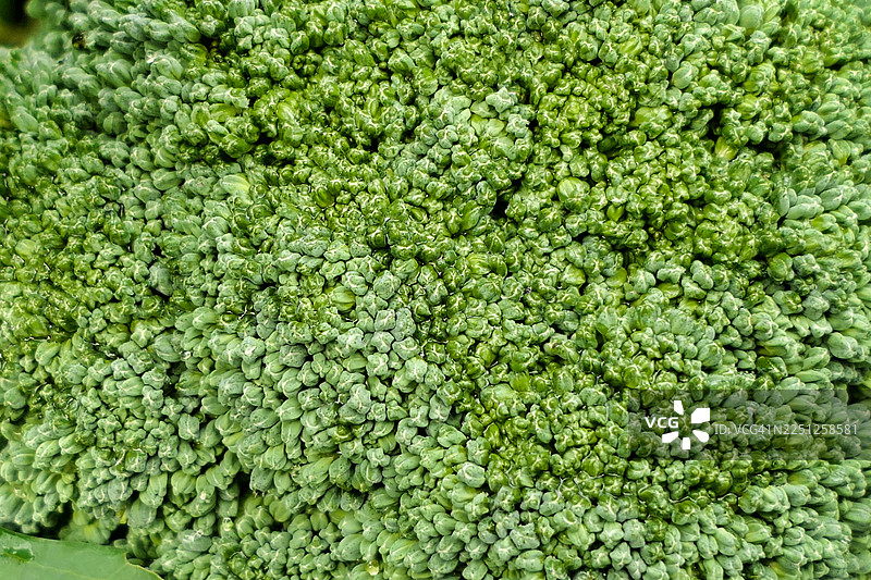 新鲜绿西兰花花蕾的特写全画幅照片，突出健康饮食和有机食品的概念图片素材