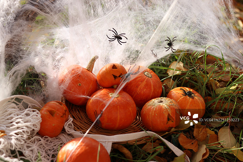 俯视视角拍摄的万圣节南瓜和装饰品，场景位于田野中，点缀着蜘蛛网和人造蜘蛛。图片素材