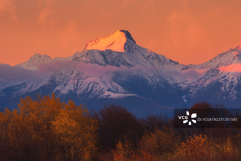 雄伟的雪山在鲜艳的橙色日落天空下闪耀，前景是秋天的树木，佐治亚图片素材