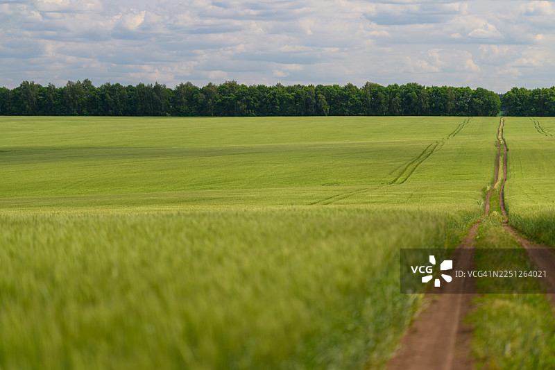 一条土路蜿蜒穿过生机勃勃的绿色田野，在多云的天空下，通向远处的森林线。图片素材