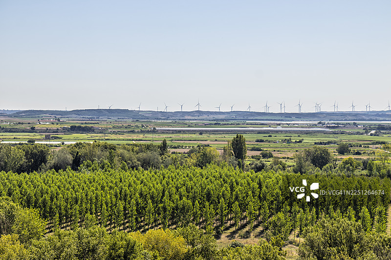 西班牙米拉格罗，晴朗蓝天下，成排树木和风力涡轮机构成的广阔农田景观图片素材
