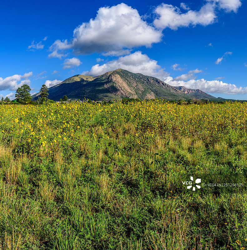 弗拉格斯塔夫和埃尔登山图片素材