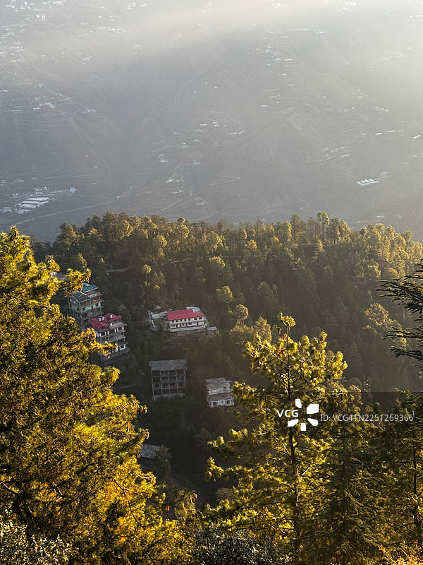从高处俯瞰，房屋依偎在郁郁葱葱的绿色树林中，沐浴在金色阳光下，印度西姆拉城图片素材