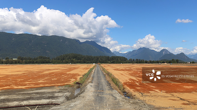 加拿大皮特梅多斯，一条空旷的土路穿过广阔的田野，背景是山脉和蓝天。图片素材
