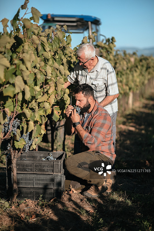 家族传统 - 升级版图片素材