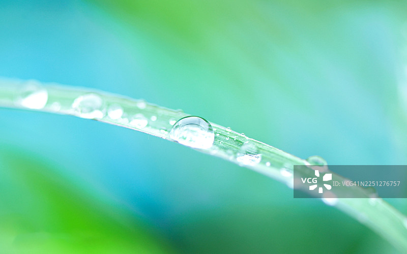 阳光下，巨大的水滴在美丽的逆光下闪耀在绿叶上。微距摄影，美丽的圆形散景。描绘自然纯净的艺术图像。图片素材