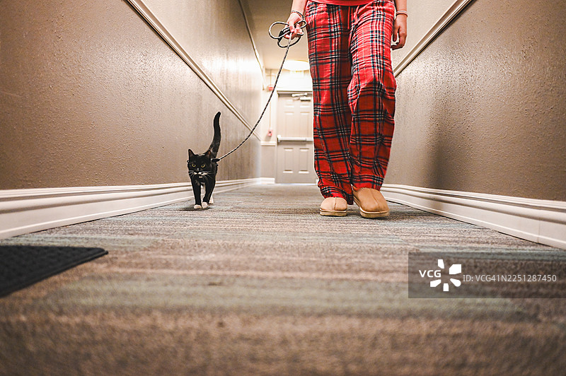 身穿睡衣的人在走廊里用牵引绳遛猫图片素材