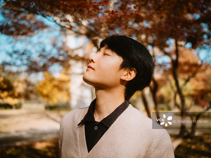 年轻的亚洲男子站在枫树下，沐浴在柔和的阳光中，营造出宁静而温暖的秋日氛围。图片素材
