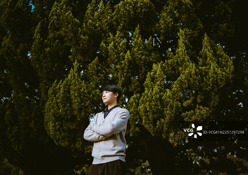 一位亚洲男子在柏树下享受自然，亲近大自然图片素材