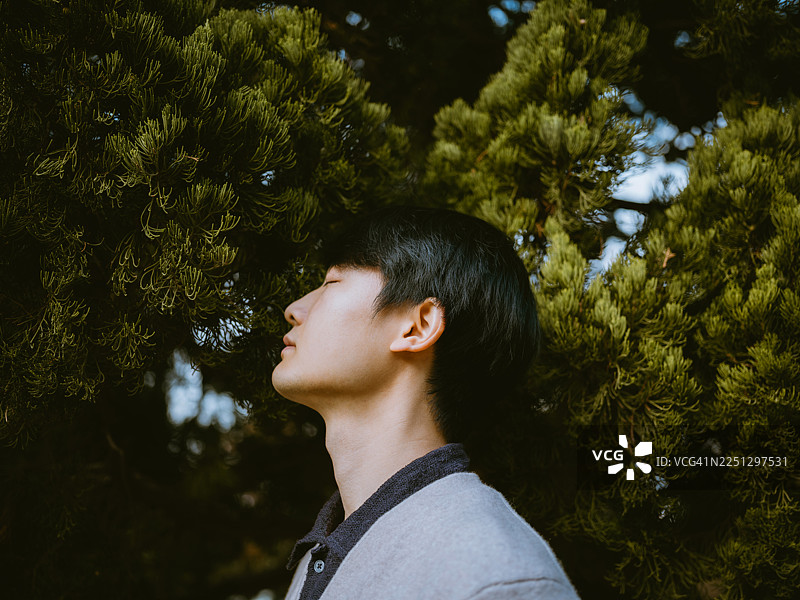 一名男子站在柏树下，闭着眼睛，享受着大自然，感受人与自然的连接。图片素材