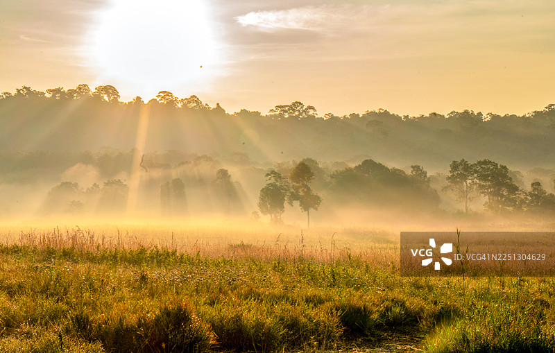 泰国猜也奔府 Phu Khiao 野生动物保护区通卡芒的晨景图片素材