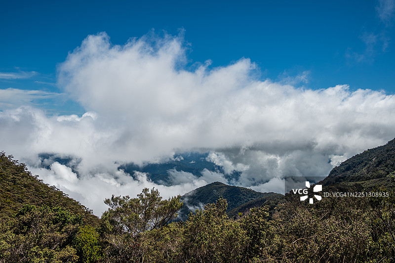 马来西亚京那巴鲁山的动植物风景图片素材