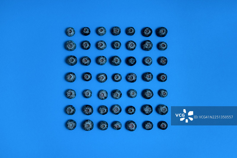 鲜艳的蓝色背景上完美网格排列的蓝莓图片素材